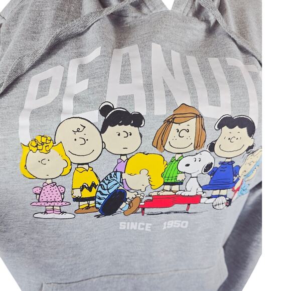 Peanuts Family Heathered Gray Athletic Athleisure Hooded Sweatshirt Women L - Picture 2 of 5